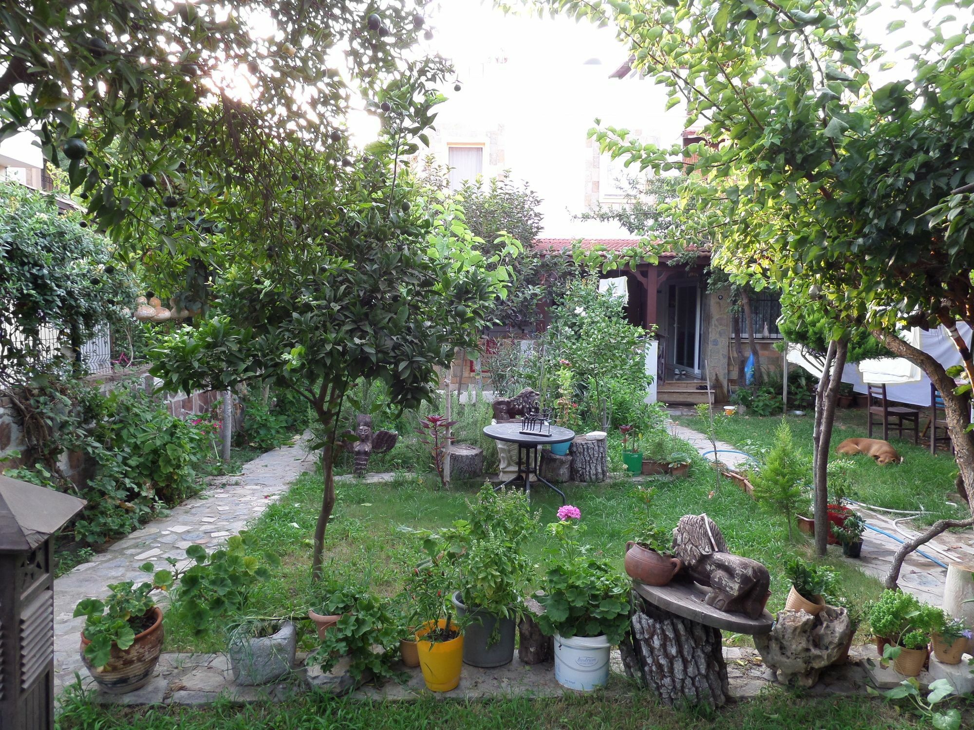 Apart Turgutreis Zewnętrze zdjęcie